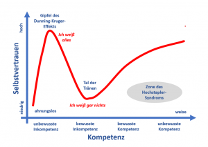 Kompetenz-Diagramm 1